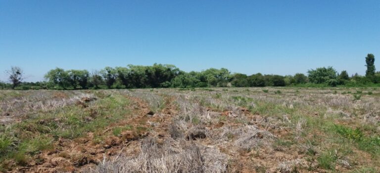 Declaración de Impacto Ambiental Proyecto Fotovoltaico Tepú