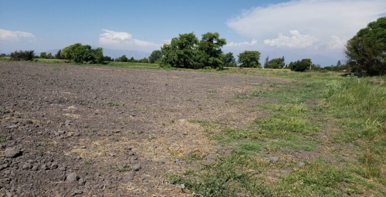 Declaración de Impacto Ambiental Proyecto Fotovoltaico Medusa